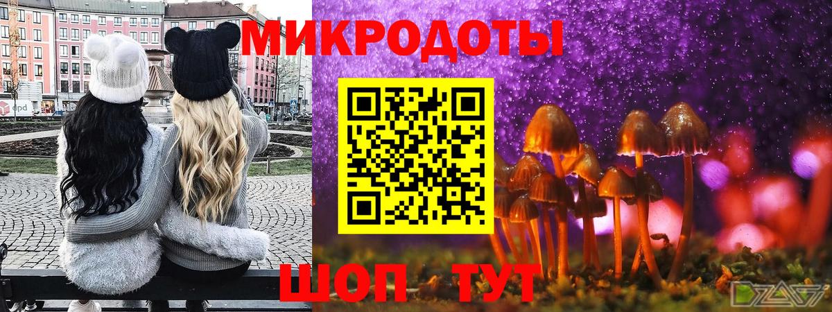 Псилоцибиновые грибы Psilocybine cubensis  Галлюциногенные грибы GOLDEN TEACHER  Карпинск  Вход с VPN 